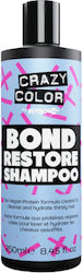 Crazy Color Bond Shampoo Reconstruction/Nourishment & Hydration for Coloured Hair 250ml
