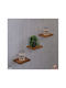 Brown Wall Shelves 3 Pieces 15x13.5x18cm