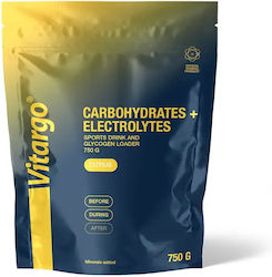 Vitargo Carbohydrates + Electrolytes Grapes 75gr
