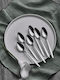 SteweHome Salter Inox Dessert / Eiscreme Löffel Set Silber 6 Stück
