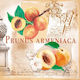 Decoupage Servietten Prunus 33x33 Verpackung 20 Stück