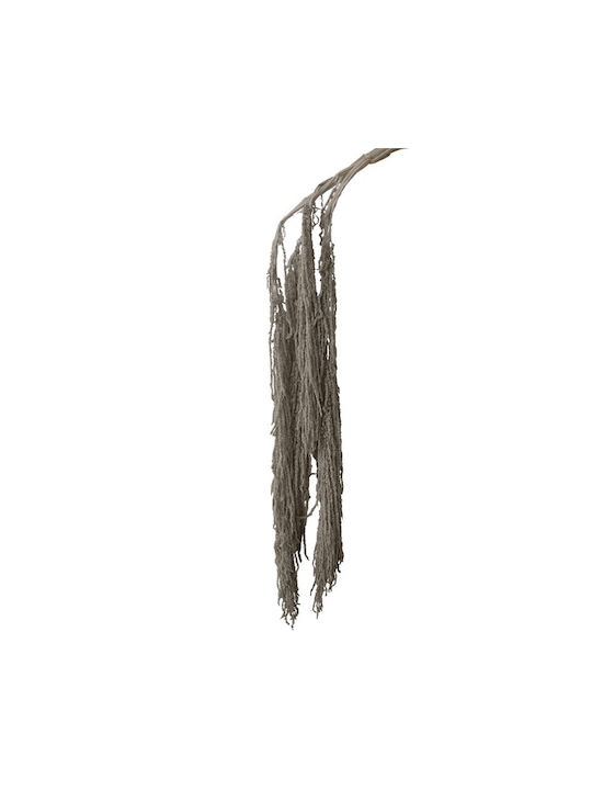 Preserved Brown Grey Hanging Amaranth Branch Bu...