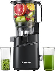 Amzchef Juicer 250W Black CE-SJ-036C-BK Amzchef Juicer 250W Black CE-SJ-036C-BK