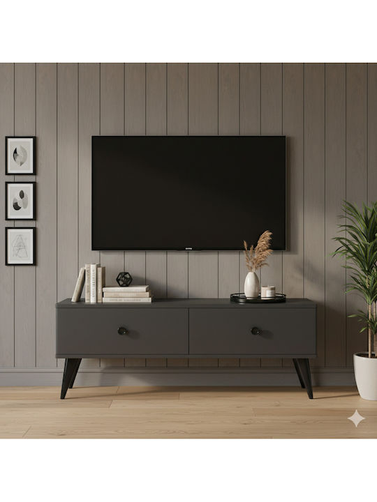 Gray TV Stand L120xD30xH41cm