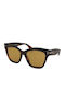 Tom Ford Elvira Unisex Sunglasses with Brown Tartaruga Frame and Brown Lens TF1217 52E