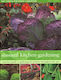 Seasonal Kitchen Garden - Anness Publishing - Paperback / Softback