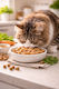Frendi Wet Cat Food for Adult Cats in Pouches with Turkey Calf and Meat