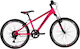 Carrera 24" Kids' Mountain Bike with Aluminum F...