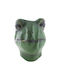 Karnevalsmasken Latex Frosch