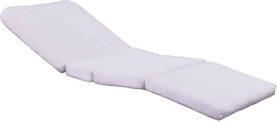 Foamcare Foam Mattress 10 Cm Multifold 88 X 193 Cm