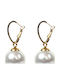 Ohrring Rf-eh0003 Gold