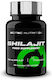Scitec Nutrition Shilajit 60 κάψουλες