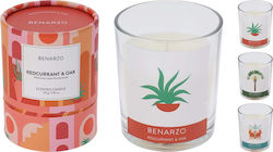 JK Home Decoration Glass Candle