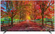 Haier Smart Τηλεόραση 40" Full HD LED K85 HDR (2024) H40K85EFX