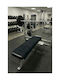 Stewehome Sport Towel Cotton 30x130 Cm Ste-025484-v53585