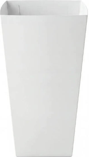 Set 50 Paper Popcorn Boxes