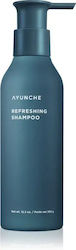 Ayunche Σαμπουάν κατά της Πιτυρίδας 350ml 350gr