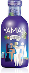 Yamas Ice Tea Blueberries Χωρίς Ανθρακικό 360ml