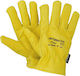 Galaxy Polar Safety Gloves Yellow Leather