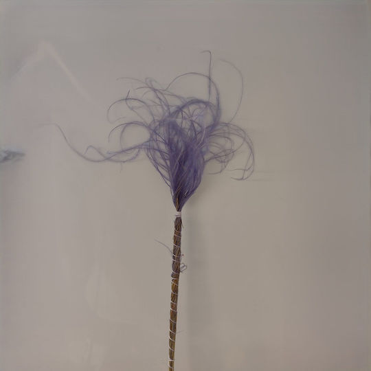 Stypha Penata Λιλά 1τμχ