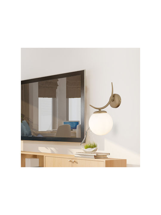SteweHome Modern Wall Lamp Brown