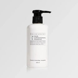 Dermaheal Σαμπουάν κατά της Τριχόπτωσης 250ml Dermaheal Σαμπουάν κατά της Τριχόπτωσης 250ml