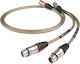 Chord Aray Cable XLR male - Μαύρο 1m