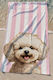 Stewehome Kids' Beach Towel Multicoloured Dog Print 75x150 Cm