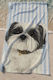 Stewehome Beach Towel Colored Dog Digital Print 75x150 Cm