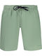 Men's Swimwear Shorts Green