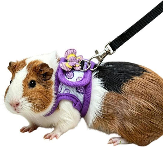 Chinchilla Guinea Pig Strap Leash Outdoor Small Pets Specifications Purple S