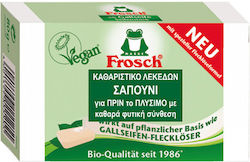 Frosch Stain Cleaner 80gr