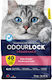 Intersand Odourlock Άμμος Γάτας Μπετονίτης με Άρωμα Baby Powder 12kg