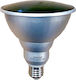 Geafos LED Лампа 15W За Цокъл E27 И Форма PAR38 Зелена
