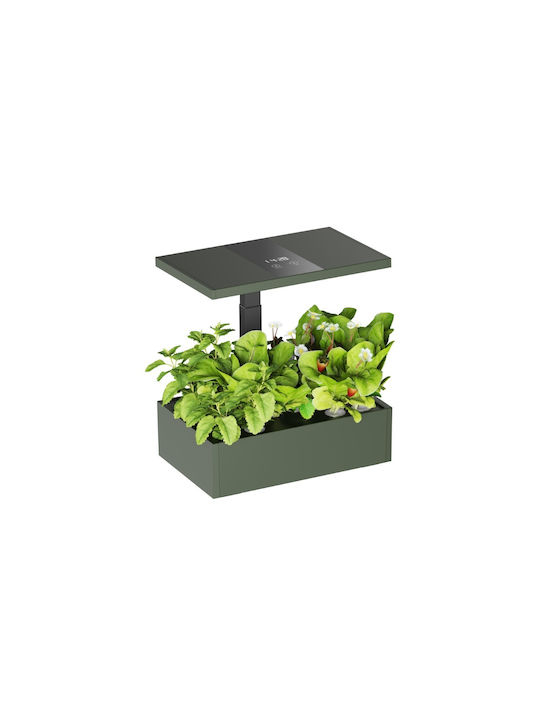 Brateck Γλάστρα Green Brateck Γλάστρα Green