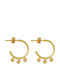Excite-Fashion Earrings Hoops Silver Gold Plated