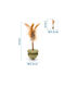 Natural Cat Toys Catnip & Matatabi Feathers – Brown
