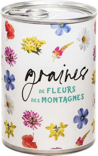 Samen Kraut Pop-Fleursdesmontagnes2