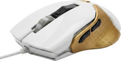 White / Gold White / Gold