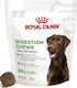 Royal Canin Dog Probiotics 160g for Gastrointestinal Disorders