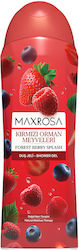 Dermokil Schaumbad 600ml Dermokil Schaumbad 600ml