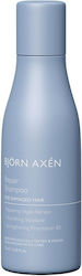Björn Axén Σαμπουάν Αναδόμησης/Θρέψης 75ml