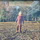 Allman Brothers Band Brothers Sisters Vinyl