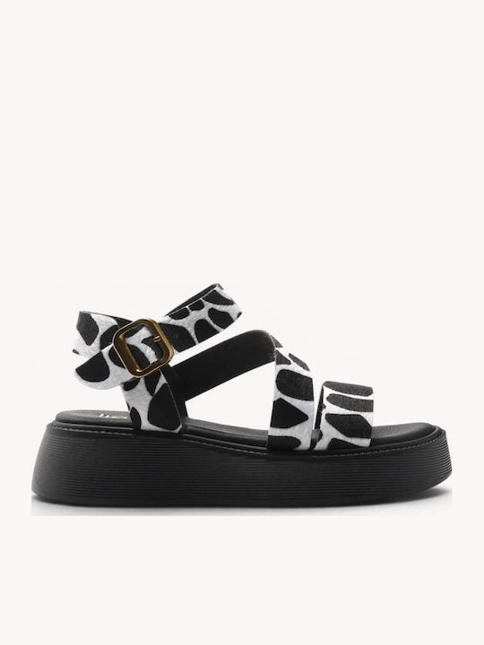 Black Cow Print Flatforms Soft Sole Gold Buckle