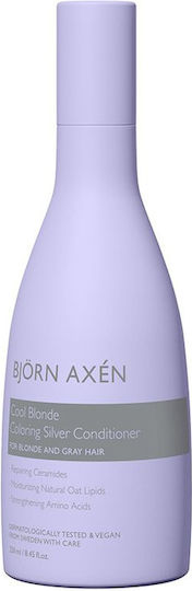 Björn Axén Балсам За Защита На Цвета 250ml