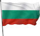 Steag Bulgaria Poliester 150x90cm