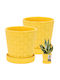 Kotarbau Set of 2 Ceramic Flower Pots Mustard with Saucer