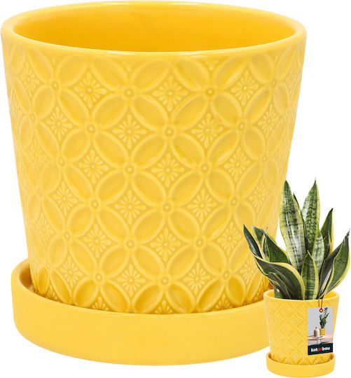 Kotarbau Γλάστρα Πήλινη Mustard Kotarbau Γλάστρα Πήλινη Mustard