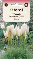 White Pampas Grass 0.1g