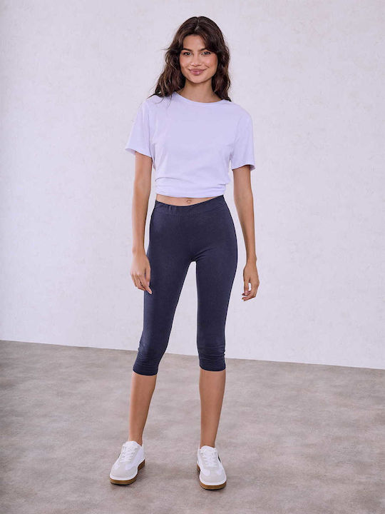 Celestino SQ98441516